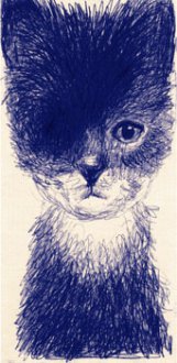 ballpoint pen drawing of a cat