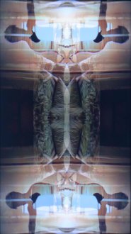 2 faces with dark strip between