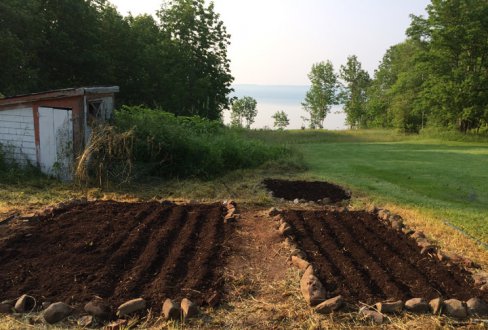 photograph of garden by the water